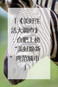 《美好生活大调查》：合肥上榜“美好焕新”典范城市