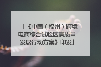 《中国（福州）跨境电商综合试验区高质量发展行动方案》印发