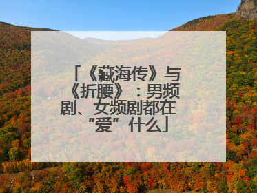 《藏海传》与《折腰》：男频剧、女频剧都在“爱”什么
