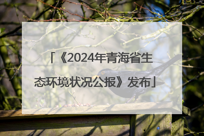 《2024年青海省生态环境状况公报》发布