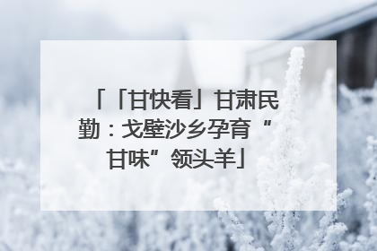 「甘快看」甘肃民勤：戈壁沙乡孕育“甘味”领头羊