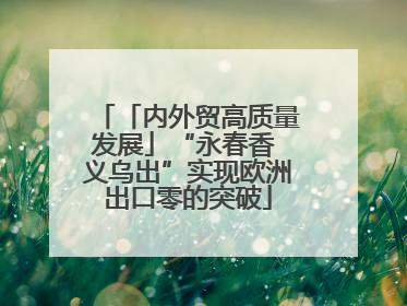 「内外贸高质量发展」“永春香 义乌出”实现欧洲出口零的突破
