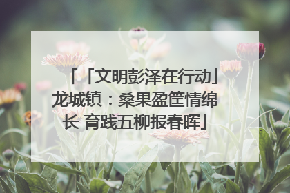「文明彭泽在行动」龙城镇：桑果盈筐情绵长 育践五柳报春晖