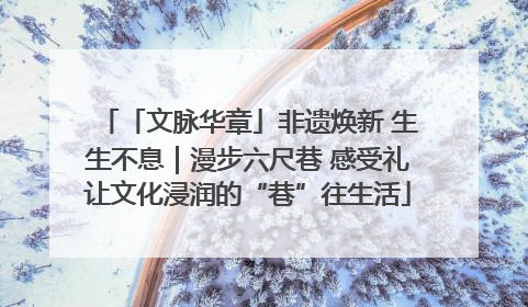 「文脉华章」非遗焕新 生生不息｜漫步六尺巷 感受礼让文化浸润的“巷”往生活