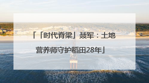 「时代脊梁」聂军：土地营养师守护稻田28年