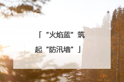 “火焰蓝”筑起“防汛墙”