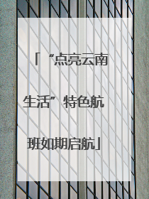 “点亮云南生活”特色航班如期启航