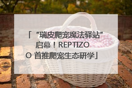 “瑞皮爬宠魔法驿站” 启幕！REPTIZOO 首推爬宠生态研学