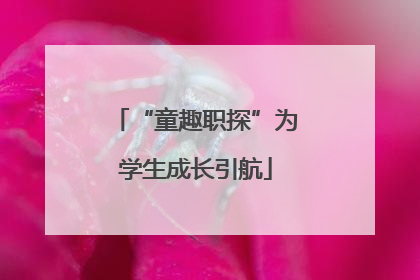 “童趣职探”为学生成长引航