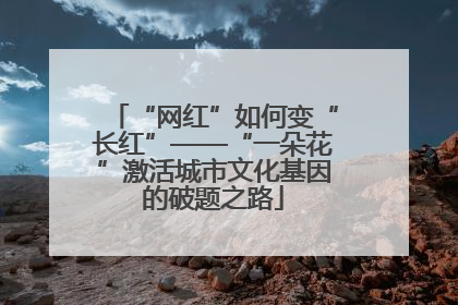 “网红”如何变“长红”——“一朵花”激活城市文化基因的破题之路
