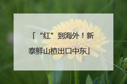 “红”到海外！新泰鲜山楂出口中东