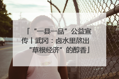 “一县一品”公益宣传丨武冈：卤水里熬出“草根经济”的醇香