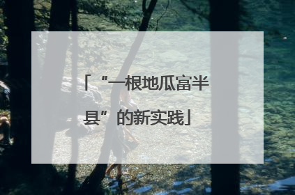 “一根地瓜富半县”的新实践