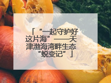“一起守护好这片海”——天津渤海湾畔生态“蜕变记”
