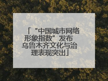 “中国城市网络形象指数”发布 乌鲁木齐文化与治理表现突出