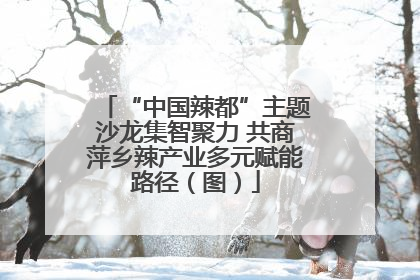 “中国辣都”主题沙龙集智聚力 共商萍乡辣产业多元赋能路径（图）