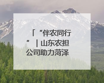 “伴农同行”｜山东农担公司助力菏泽巨野蛋鸡产业高质量发展