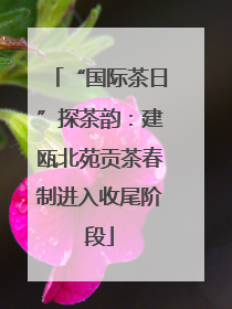 “国际茶日”探茶韵：建瓯北苑贡茶春制进入收尾阶段