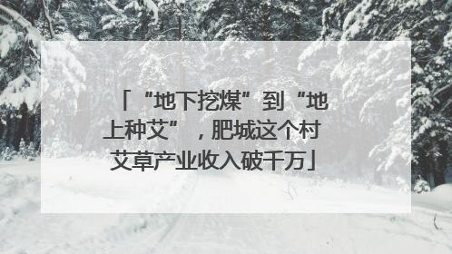 “地下挖煤”到“地上种艾”，肥城这个村艾草产业收入破千万