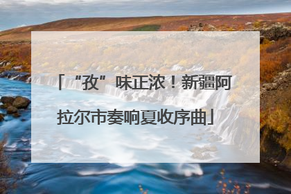 “孜”味正浓！新疆阿拉尔市奏响夏收序曲