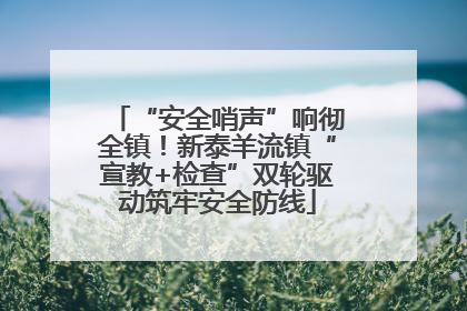 “安全哨声”响彻全镇！新泰羊流镇“宣教+检查”双轮驱动筑牢安全防线