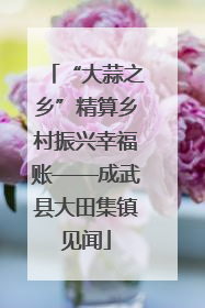 “大蒜之乡”精算乡村振兴幸福账——成武县大田集镇见闻