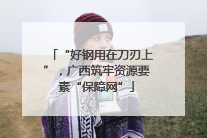 “好钢用在刀刃上”，广西筑牢资源要素“保障网”