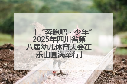 “奔跑吧・少年”2025年四川省第八届幼儿体育大会在乐山圆满举行