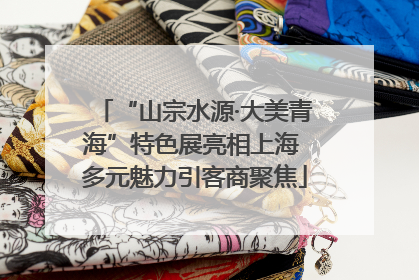 “山宗水源·大美青海”特色展亮相上海 多元魅力引客商聚焦