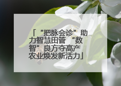 “把脉会诊”助力智慧田管 “数智”良方夺高产 农业焕发新活力