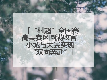 “村超”全国赛高县赛区圆满收官 小城与大赛实现“双向奔赴”