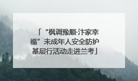 “枫调豫顺·汴家幸福”未成年人安全防护基层行活动走进兰考