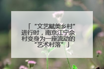 “文艺赋美乡村”进行时，南京江宁佘村变身为一座流动的“艺术村落”