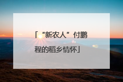 “新农人”付鹏程的稻乡情怀
