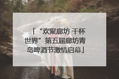 “欢聚廊坊 干杯世界”第五届廊坊青岛啤酒节激情启幕