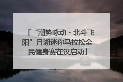 “潮势咏动・北斗飞阳”月湖迷你马拉松全民健身赛在汉启动