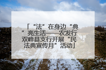 “法”在身边“典”亮生活——农发行双峰县支行开展“民法典宣传月”活动