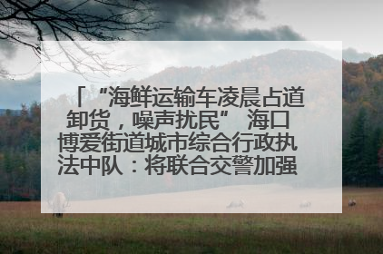 “海鲜运输车凌晨占道卸货，噪声扰民” 海口博爱街道城市综合行政执法中队：将联合交警加强长堤路一带巡逻