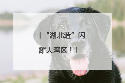 “湖北造”闪耀大湾区！