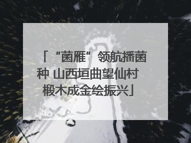 “菌雁”领航播菌种 山西垣曲望仙村椴木成金绘振兴