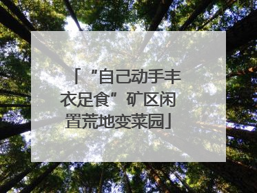 “自己动手丰衣足食”矿区闲置荒地变菜园