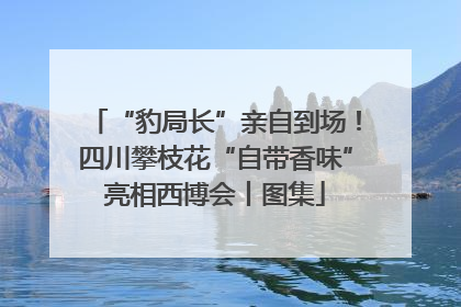 “豹局长”亲自到场！四川攀枝花“自带香味”亮相西博会丨图集