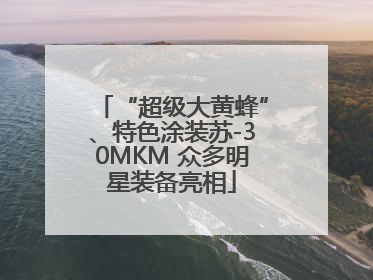 “超级大黄蜂”、特色涂装苏-30MKM 众多明星装备亮相