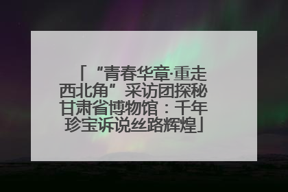 “青春华章·重走西北角”采访团探秘甘肃省博物馆：千年珍宝诉说丝路辉煌