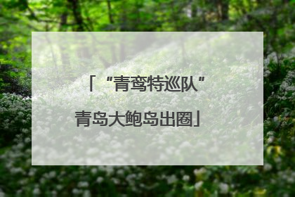 “青鸾特巡队”青岛大鲍岛出圈