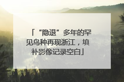 “隐退”多年的罕见鸟种再现浙江，填补影像记录空白