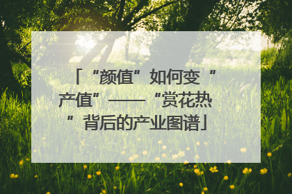 “颜值”如何变“产值”——“赏花热”背后的产业图谱