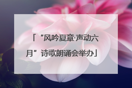 “风吟夏章·声动六月”诗歌朗诵会举办