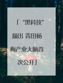 “黑科技”频出 青田杨梅产业大脑首次公开