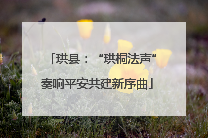珙县：“珙桐法声”奏响平安共建新序曲